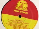 Tena Stelin & Sound Iration - Jah Equity 12