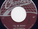 RARE DOO-WOP - FLAMINGOS - 