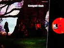 RARE 1970 PROMO   GOSPEL OAK    WEST COAST HIPPIE BLUES ROCK ex HORSES