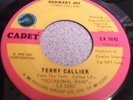 Terry Callier- Ordinary Joe- Cadet hear