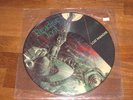 PARADISE LOST   UK imp. Picture Disc   12