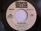 THE G-CLEFS - THE WHIRLWIND / I CANT STAND IT - RARE SOUL 45 .. LOMA PROMO VG+
