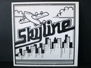 SKYLINE s/t LP (1987) PRIVATE Modern Soul/Funk RARE