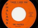 THE PASTELS-