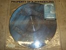 RARE BON JOVI NEW JERSEY NJ PICTURE DISC VINYL LP RECORD MERCURY/POLYGRAM