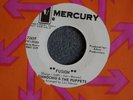 TEFTELLER PSYCH FUZZ EXPOLITO INSTRO Pinnochio & the Puppets Fusion HEAR IT