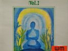 JOEL VANDROOGENBROECK Meditations Vol. 2 Library CS4 New Age, Drone