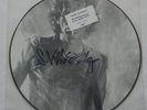 The Rolling Stones Some Tattoos (WOM) Picture Disc signed by the Artist #117/120