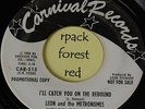 LEON and the METRONOMES - I'll Catch You On The Rebound - CARNIVAL  - HEAR