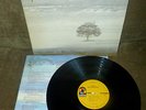 GENESIS Wind & Wuthering LP US Original Mint +Sticker No Barcode Calling Nursery