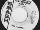 RARE Psych-The Hallmarks on Smash 2115-DJ-Soul Shakin Psychedelic Sally-- LISTEN