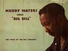 MUDDY WATERS SINGS 