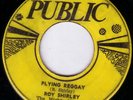 ROY SHIRLEY/SKINHEAD REGGAE/PUBLIC Orig JA/FLYING REGGAE...EX..RARE...LISTEN