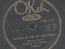 78 RPM RARE JUKEBOX JAZZ,BLUES, OKEH 8784 MISSISSIPPI SHEIKS / VG