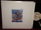 Spirit of Eden 