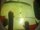 Leatherface - Mush picturedisc LP