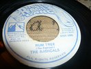 Radicals Rum Tree  Killer Digi 7