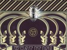 V.A. - What it is funky soul and rare grooves US 25x7