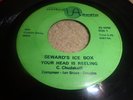 RARE OHIO GARAGE PSYCH 45/ SEWARD'S ICE BOX 