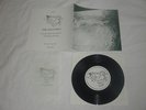 The Field Mice - I Can See Myself Alone Forever 7