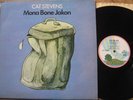 CAT STEVENS
