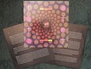The Swans Children of God DLP Nr Mint M Gira Foetus Lunch Sonic Youth Jarboe