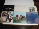 PINK FLOYD, SET OF SIX LP'S, MONEY, UMMAGUMMA, MEDDLE, THE WALL