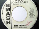 Rare Northern Soul 45 THE TEARS What You're Doing To Me on Smash