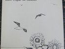 NAOMI LEWIS Seagulls and Sunflowers ORIGINAL M-/M- Private Press Psych-Folk LP