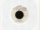 SOUL VENDORS - SWING EASY - REGGAE 45 RPM  - JAMAICA IMPORT