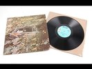 JIMMY BUFFETT Rare 1st Release on Barnaby Records DOWN TO EARTH LP