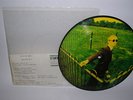 THE DIVINE COMEDY - Indulgence No. 1  7
