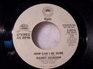 RARE SOUL PROMO 45 - RANDY JACKSON - 