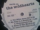 The Wildhearts 