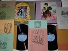 Donovan A Gift from a Flower to a Garden Mono NPL 20000 1st Press 2 LP Box