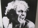 VASCO ROSSI - SIAMO SOLO NOI - LP RARO SONY RICORDI