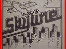 MODERN SOUL BOOGIE LP Skyline - Skyline 
