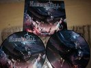 HAMMERFALL- MASTERPIECES   /   RARE DOPPEL PICTURE LP