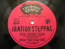 IRATION STEPPAS Too Much War/Whats Wrong TANDOORI SPACE 10