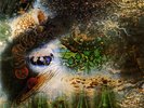 PINK FLOYD Saucerful of Secrets LP SX 6258 MONO UK COLUMBIA OG PSYCH 1ST PRESS