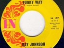 RAY JOHNSON 