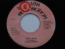 TREVOR JUNIOR - TIDAL WAVE - 7