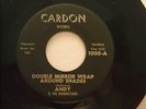ANDY AND THE MANHATTANS - GARAGE - 'DOUBLE MIRROW WRAP AROUND SHADES' - *LISTEN*