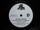 HARD TIME PRESSURE IN A BABYLON  /  IRATION  STEPPAS  orig  DUBHEAD  10 in