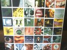 PEARL JAM No Code LP Epic E 67500 ORIG Gatefold W/ Artwork Vinyl Album