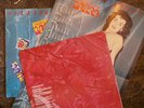 ROLLING STONES UNDER COVER CUN 1654361 CALENDAR INNER INSERT MICK JAGGER ROCK LP