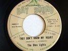 NORTHERN SOUL - the BLEU LIGHTS They Don't Know My Heart BAY SOUND 45