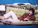 Lee Hazlewood stereo gfd Lp  