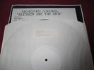 Morbid Angel - Blessed Are The Sick / Earache LP Promo / White Lable 1991 / Rar