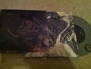 Wayfarer & Rot In Hell split 7